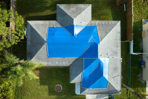Best Green or Eco-Friendly Roofing Solutions  in Limestone Creek, FL