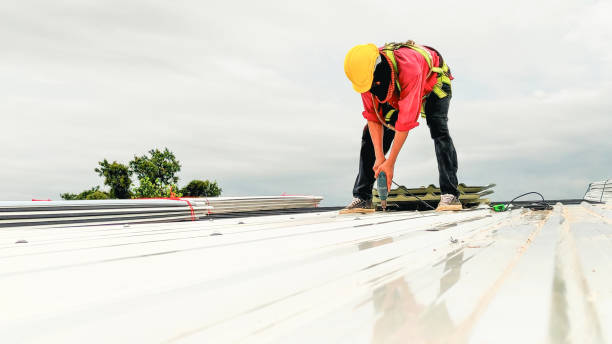 Professional Roofing Services in Limestone Creek, FL